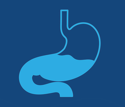 Illustration in blue of stomach