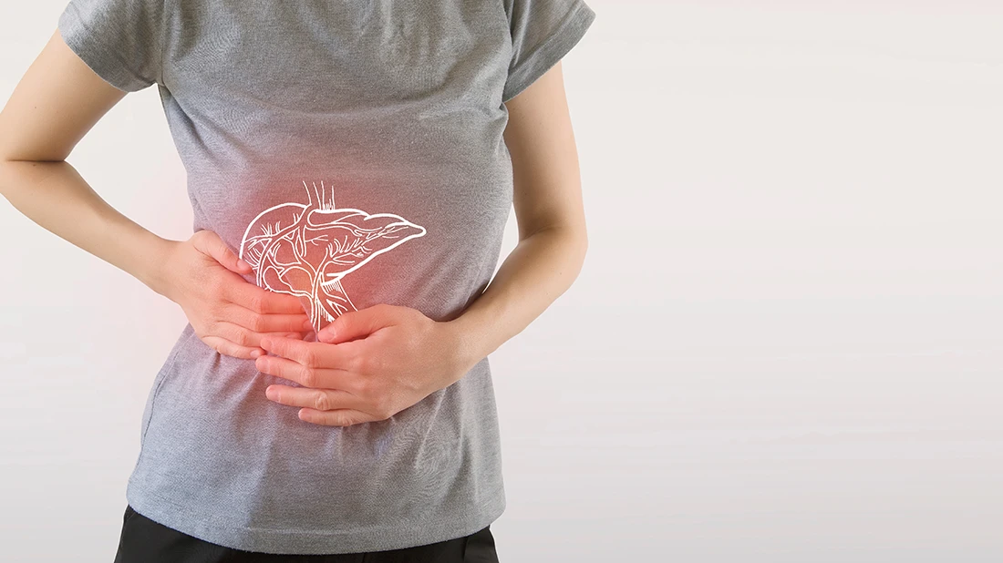 Person Holding Liver with Liver Outline