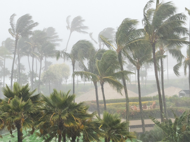 Hurricane Helene Updates